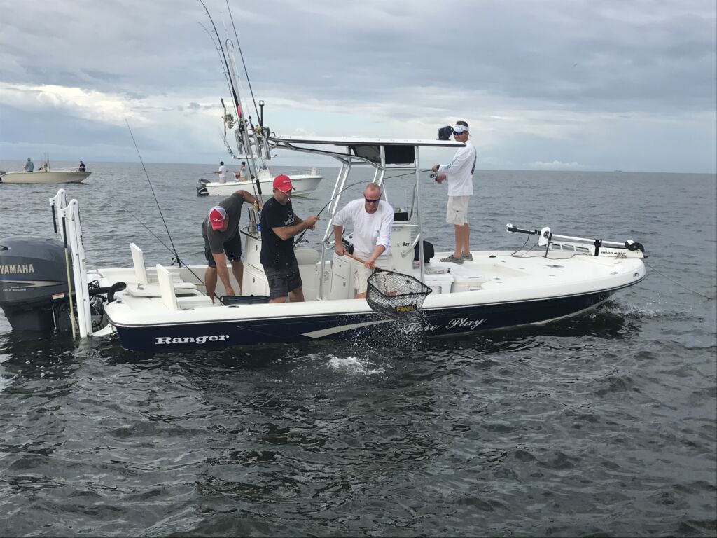 Terminating the Fight